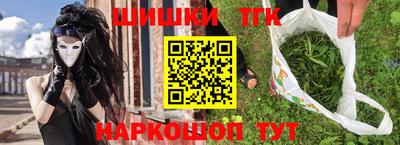 стафф Гатчина